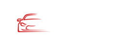 Prime Auto Center